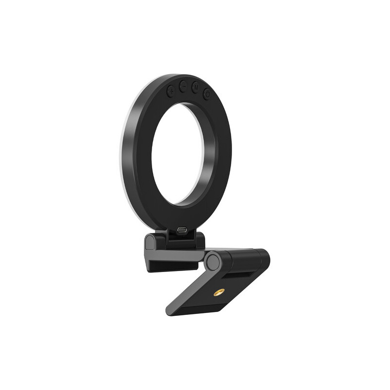 Video Conference Ring Light