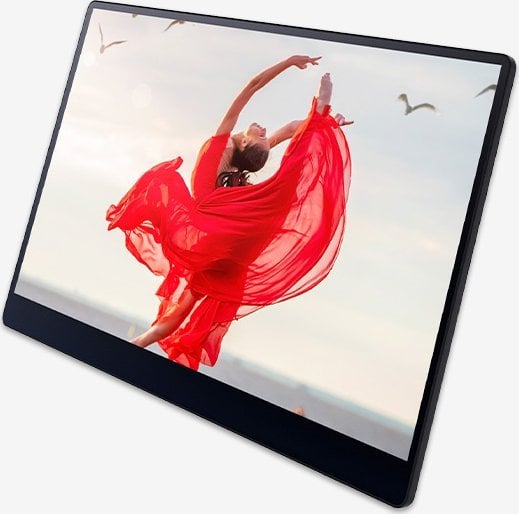 Пренослив монитор Ricoh 150BW, 15.6", OLED Full HD, со допир
