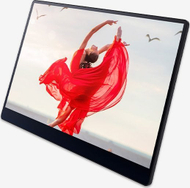 Пренослив монитор Ricoh 150BW, 15.6", OLED Full HD, со допир