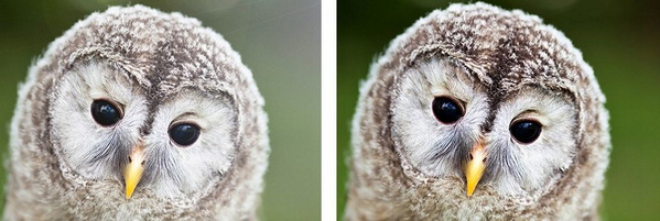 Adapter objektivi K&amp;F Concept KF06.382 për Canon EOS R Ra Rp, M42, i zi