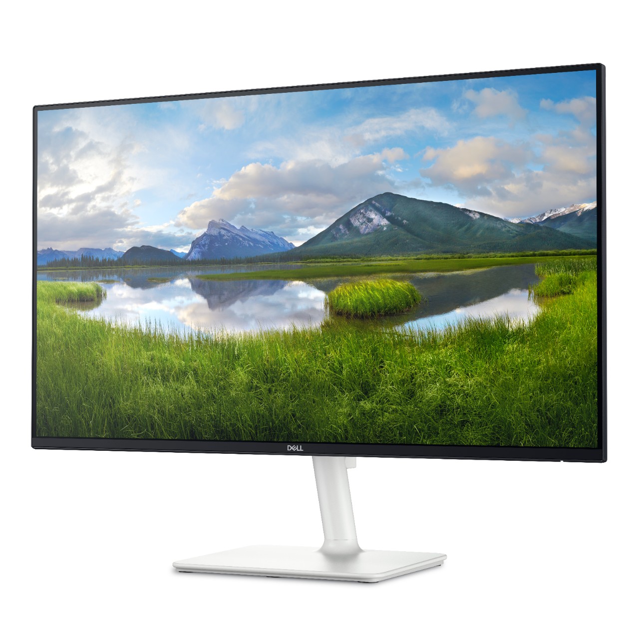 Монитор Dell S2425H, 23,8\", IPS, FHD, црн / бел