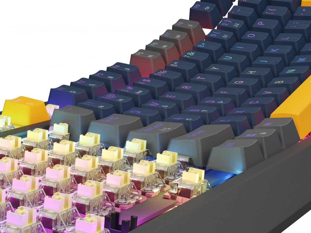 Механичка тастатура Genesis Thor 230 TKL, Outemu Panda, RGB, црна