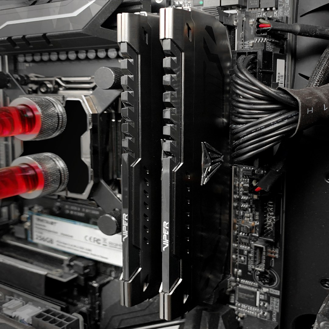 Memorie RAM Patriot Viper Steel PVS48G360C8 8 GB (1 x 8 GB) DDR4 3600 MHz