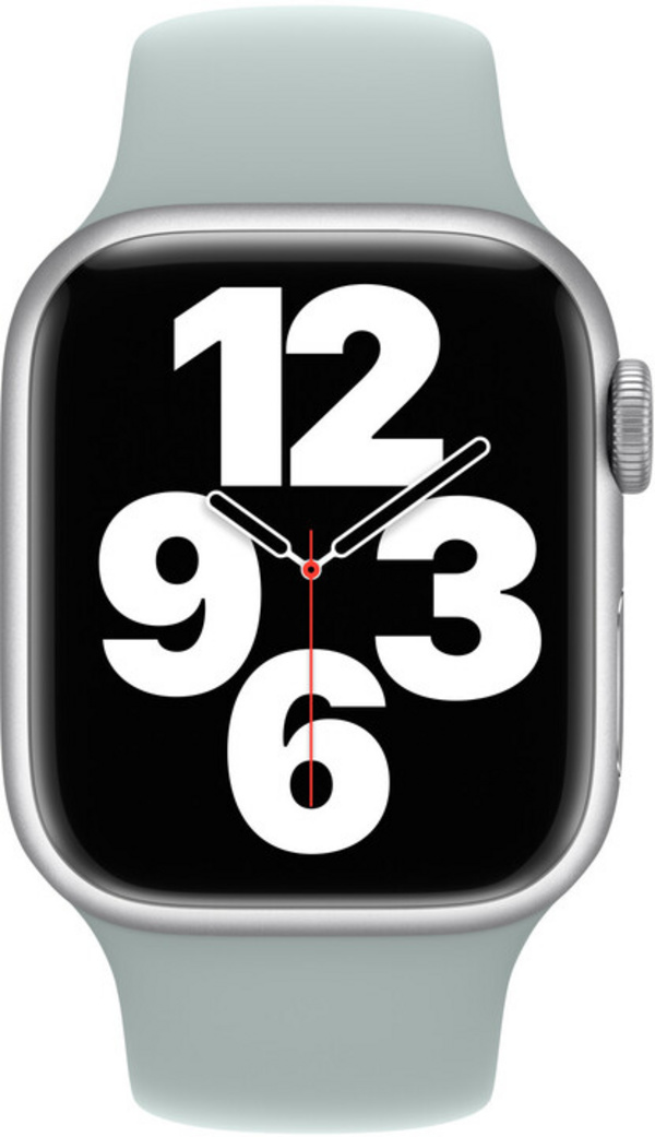 Apple Watch 41mm Band, Succulent Sport Band (SEASONAL 2022 Fall)