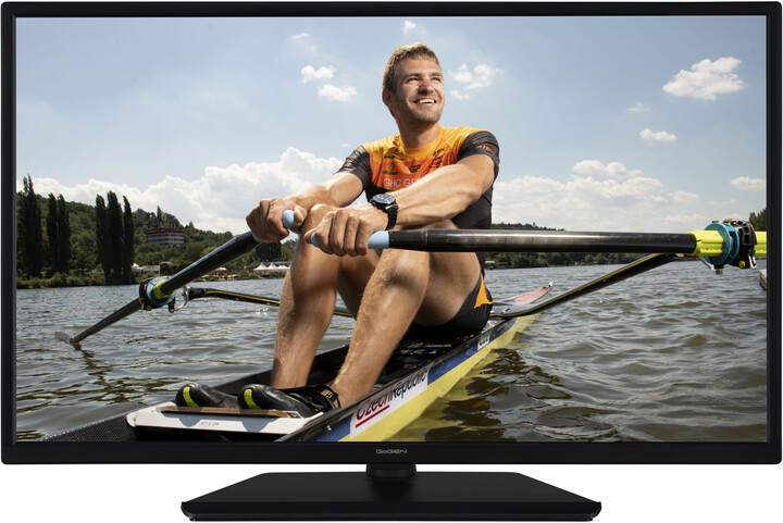 Televizor GoGEN TVF 32R528 STWEB, 32" (80cm), Full HD, i zi