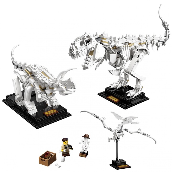 Lodër LEGO Ideas 21320 Dinosaur fossil