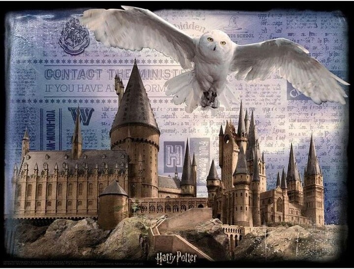 Lojë Puzzle 3D - Harry Potter: Harry Potter: Warts and Hedwig, 300 pjesë