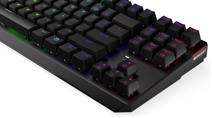 [OUTLET] Tastierë Endorfy Thock TKL Blue, Kailh Blue, US, e zezë