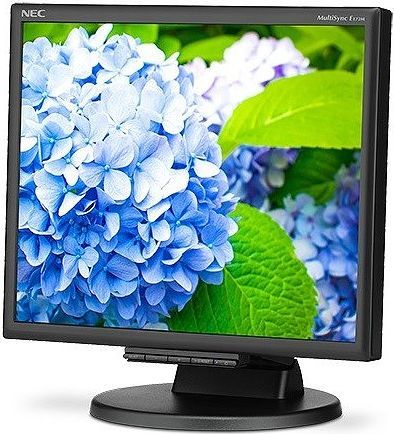 Monitor NEC MultiSync E172M (60005020), WLED, 17'', SXGA, i zi