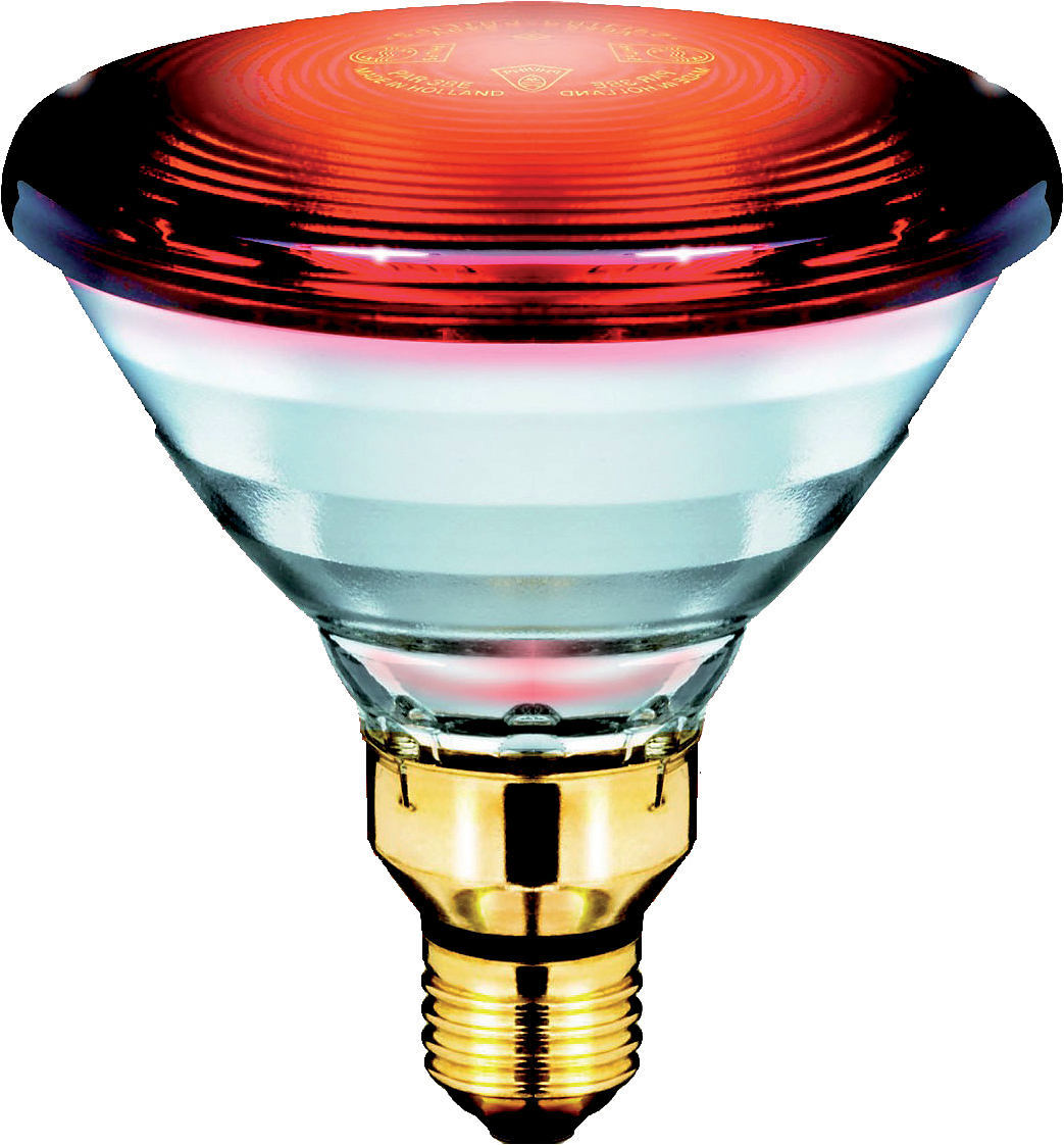 Ngrohëse infrared Philips, PAR38, IR, 230V, 150W, E27, transparente