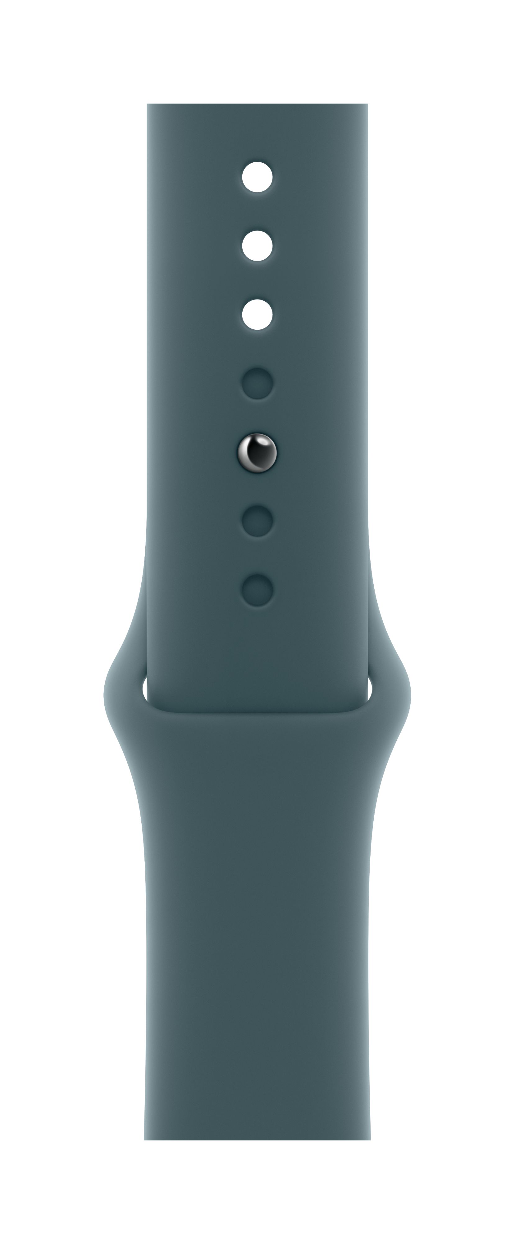 Apple Watch 46mm Sport Band, Lake Green Sport Band, M/L (Seasonal)