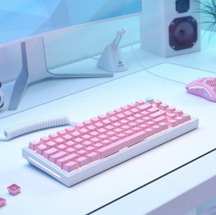 Капачиња за тастатура Glorious ABS Doubleshot V2, OEM профил, англиски US распоред, розова