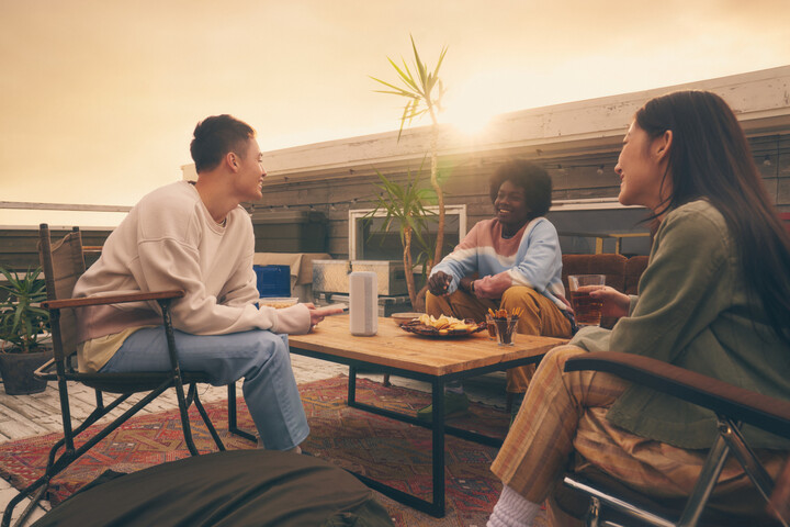 Altoparlant Sony SRSXE300, gri