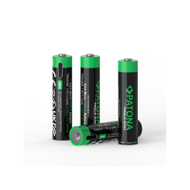 PATONA Premium USB-C Micro AAA Rechargeable Batteries