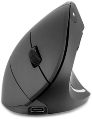 Maus vertikal Perixx PERIMICE-713 R, ergonomik, pa tela, i zi