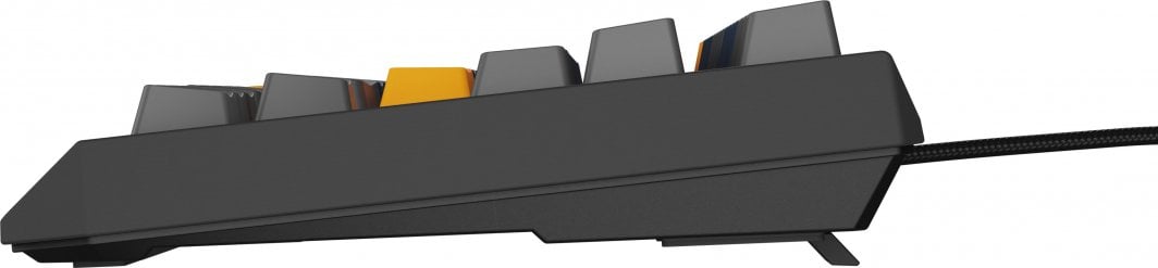 Механичка тастатура Genesis Thor 230 TKL, Outemu Panda, RGB, црна