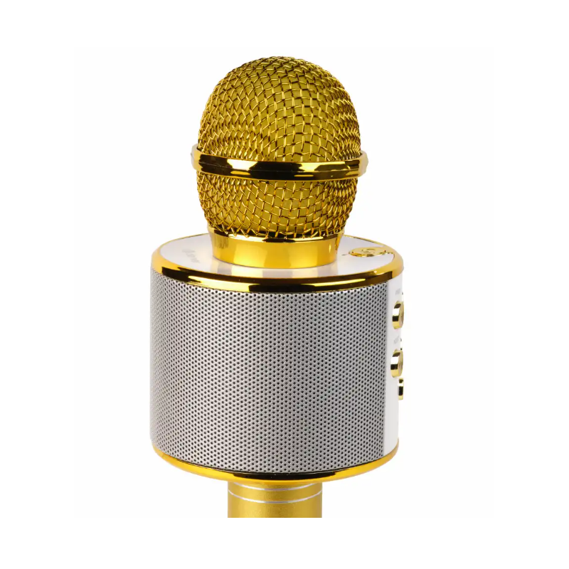 Denver Party Karaoke Mic (Gold)