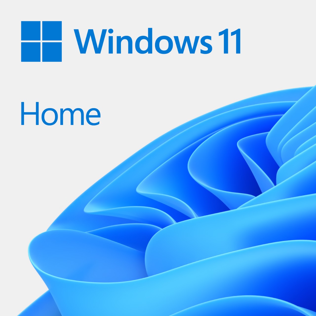 Sistem operativ Microsoft Windows 11 Home, 64 bit, OEM DVD
