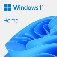Sistem operativ Microsoft Windows 11 Home, 64 bit, OEM DVD
