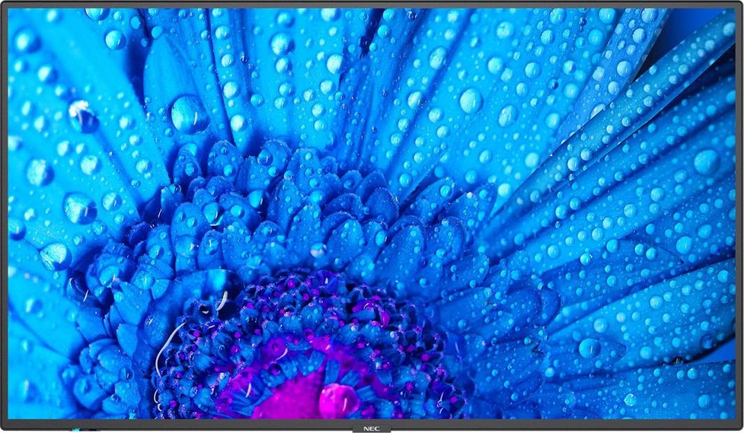 Monitor NEC MultiSync M431, 43 ", UHD 4K, i zi