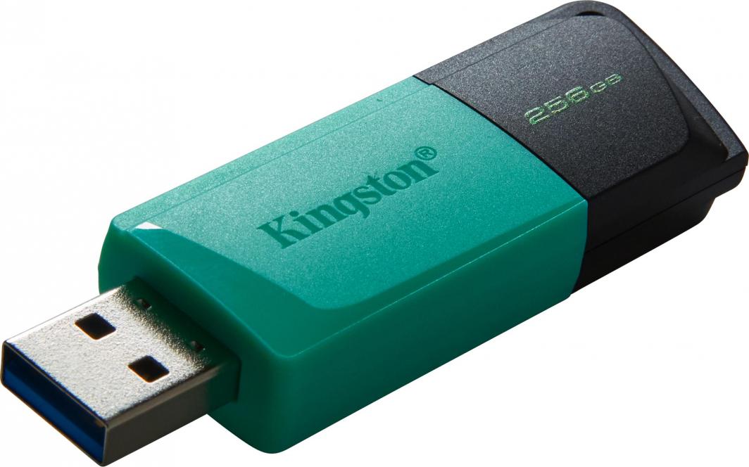 USB Pendrive Kingston DataTraveler Exodia (DTXM/256GB), 256 GB, e kaltër