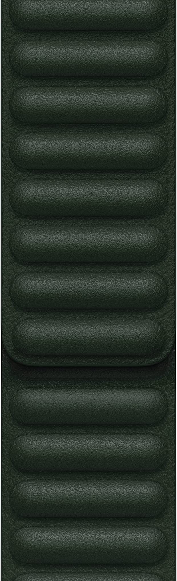 Apple Watch 41mm Band, Sequoia Green Leather Link - M/L