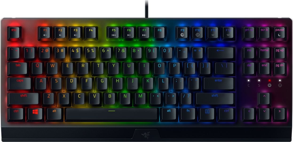 Tastierë Razer Blackwidow V3, (RZ03-03490100-R3M1), 1.8 m