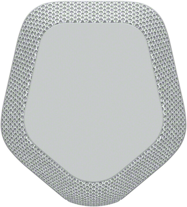 Altoparlant Sony SRSXE300, gri