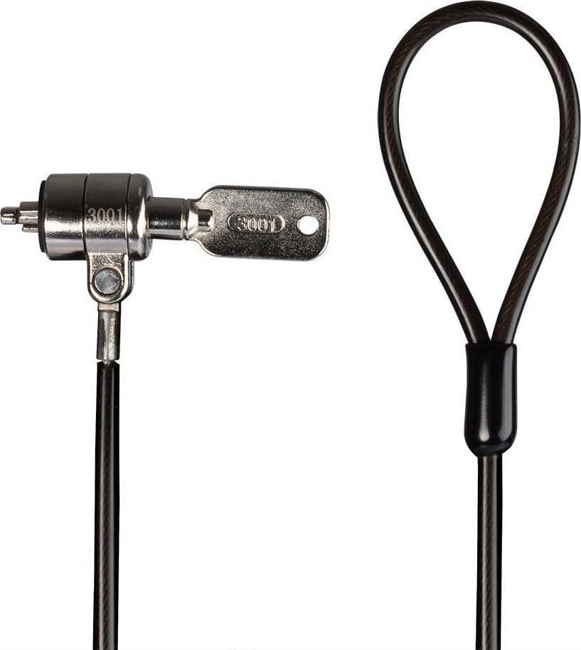 Kabllo sigurie për laptop Lindy Notebook Security Cable, bravë me çelës, çelik, gri