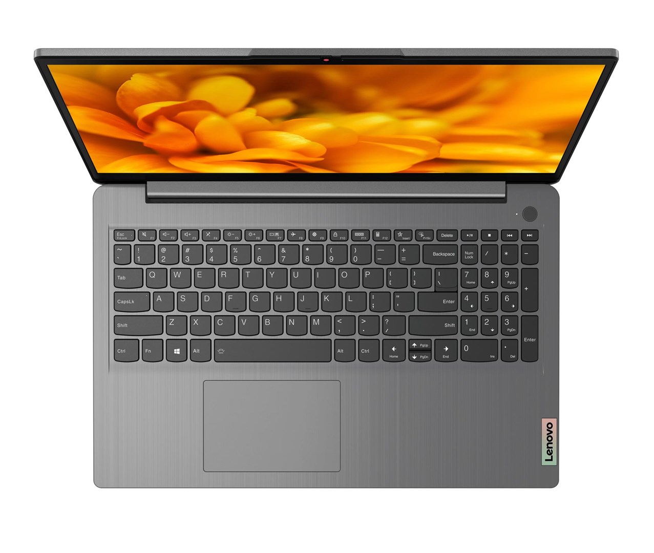 Laptop Lenovo IdeaPad 3, 15.6", Intel Core i3 1115G4, 8 GB RAM, 256 GB SSD, i hirtë