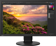 Monitor Eizo ColorEdge CS2400S, 24", USB C, i zi