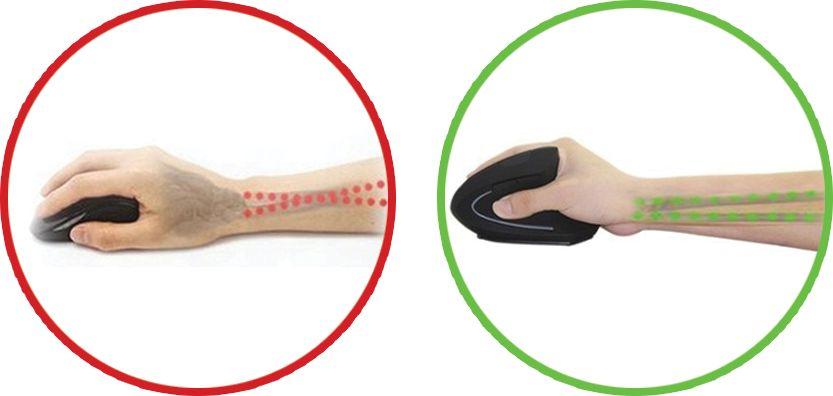 Maus Rebeltec Ergo, i zi