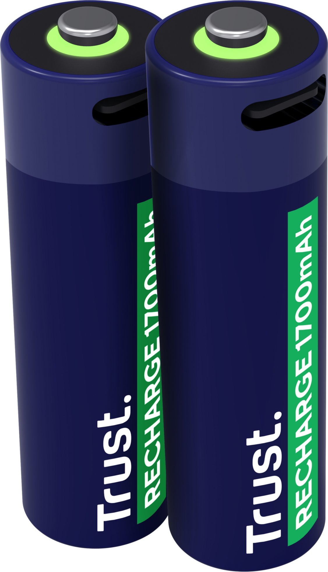 Bateri rikarikuese Trust 25584 AA, USB C, set, gri