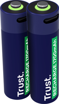 Bateri rikarikuese Trust 25584 AA, USB C, set, gri