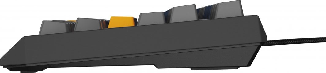 Механичка тастатура Genesis Thor 230 TKL, Outemu Panda, RGB, црна