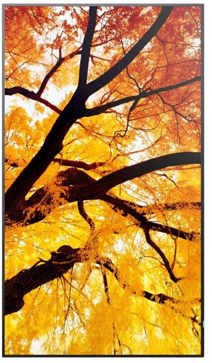 Ekran profesional Sharp MultiSync M552, 55", 4K Ultra HD, i zi