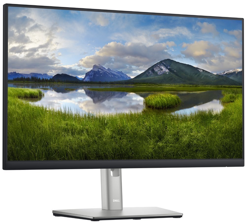 Monitor Dell P2422H LED EEC C (A - G), 23.8", FHD, i zi / argjendtë