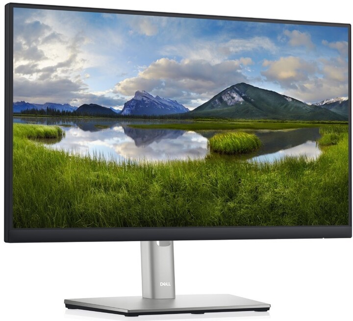 Monitor Dell Professional P2222H - 22 " LED, i zi / argjendtë