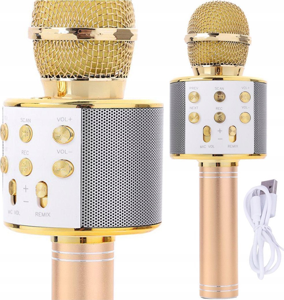 Set karaoke me altoparlant portativ, 2 mikrofona, me bateri, i zi