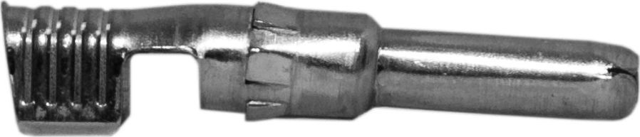 Bashkues Weidmller 5279