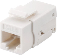 Prizë rrjeti Wentronic Goobay Keystone CAT6, RJ45, UTP, e bardhë