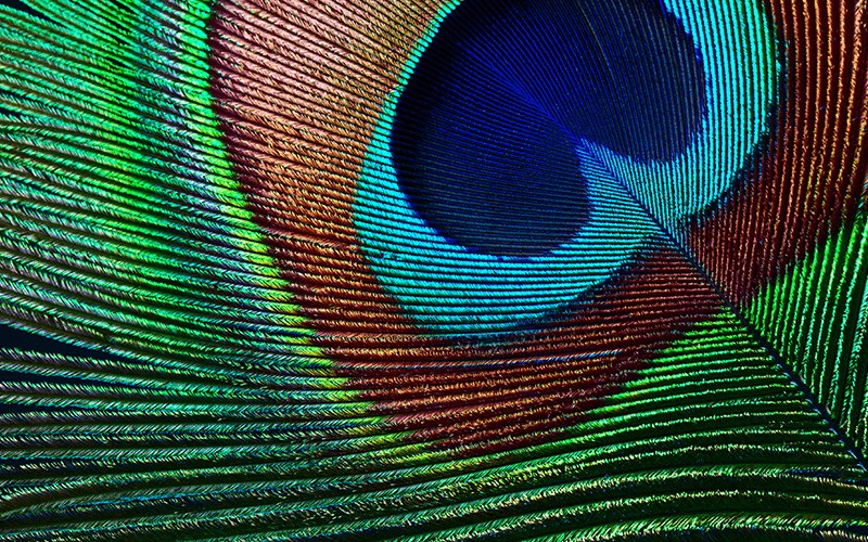 Проектор EPSON EH-TW7000, 4K PRO-UHD, 3000 ANSI, 3LCD, бел