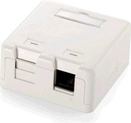 Панел Equip F 2 Keystone Socket 125122, за 2 модули, бел