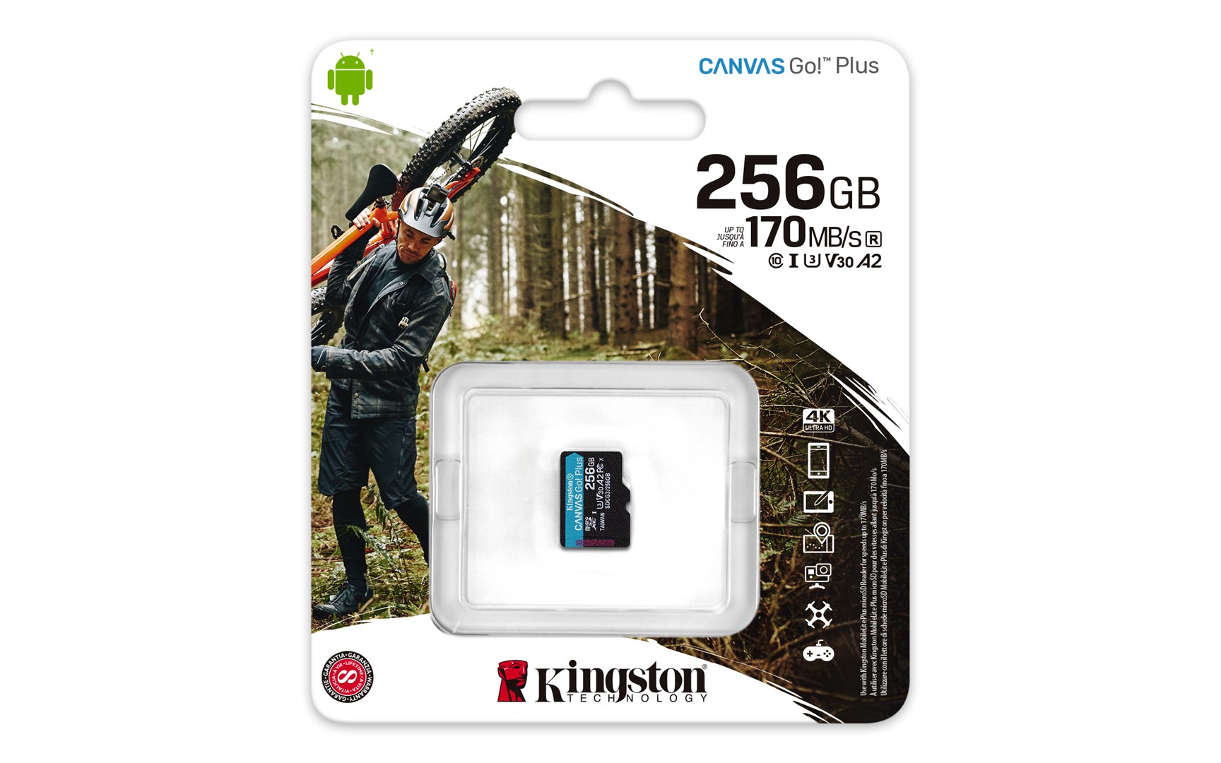 Kartë e memories Kingston Canvas Go Plus, MicroSD, 256 GB, Class 10