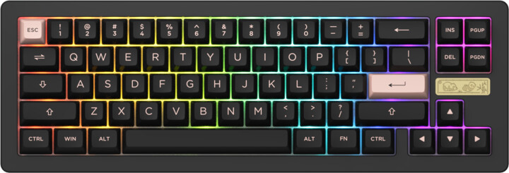 Tastierë Akko ACR Pro 68-S65% Akko CS Crystal RGB LED, US