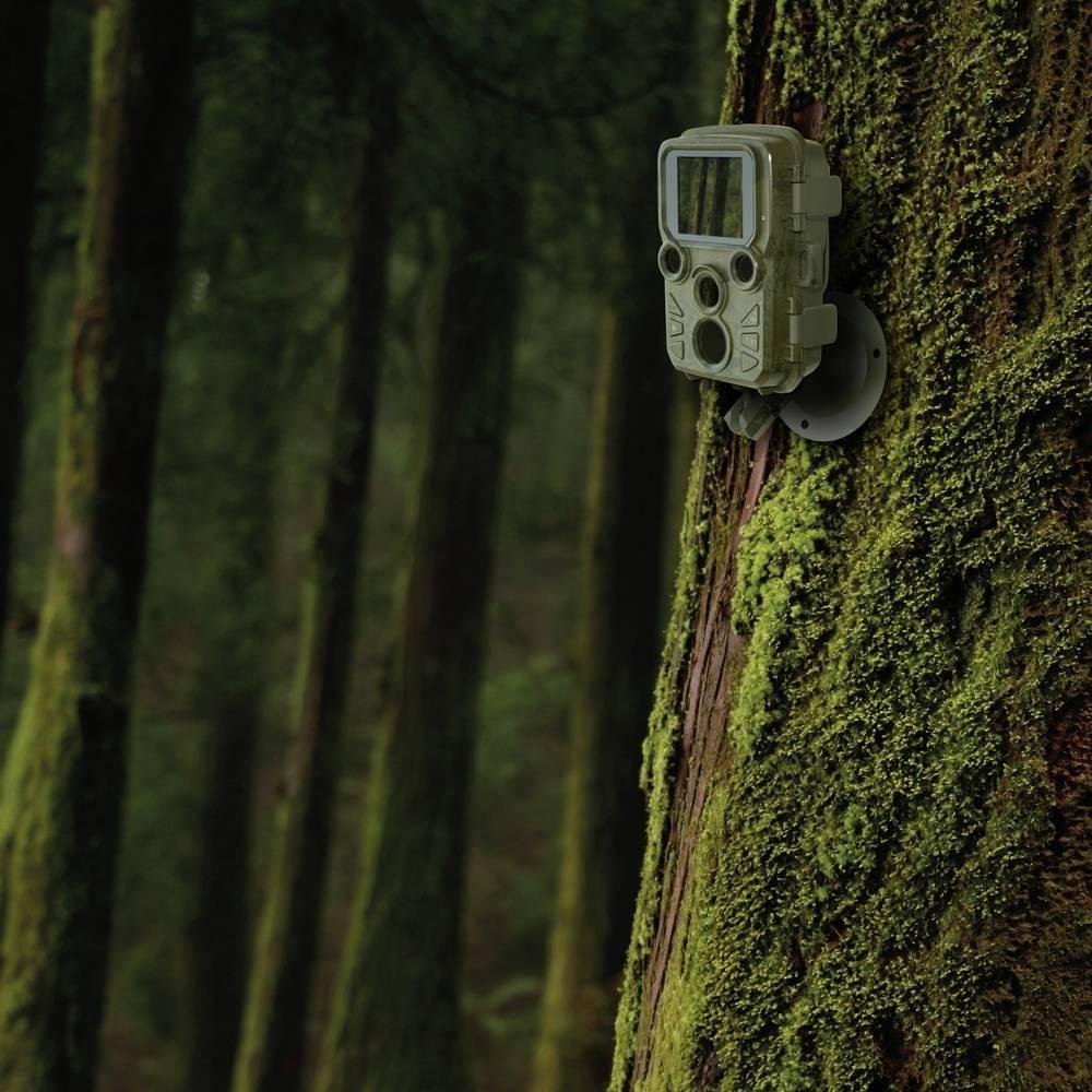 Kamerë gjurmuese Braun Photo Technik Scouting Cam Black800 Mini, 4K, IP66, kamuflazh