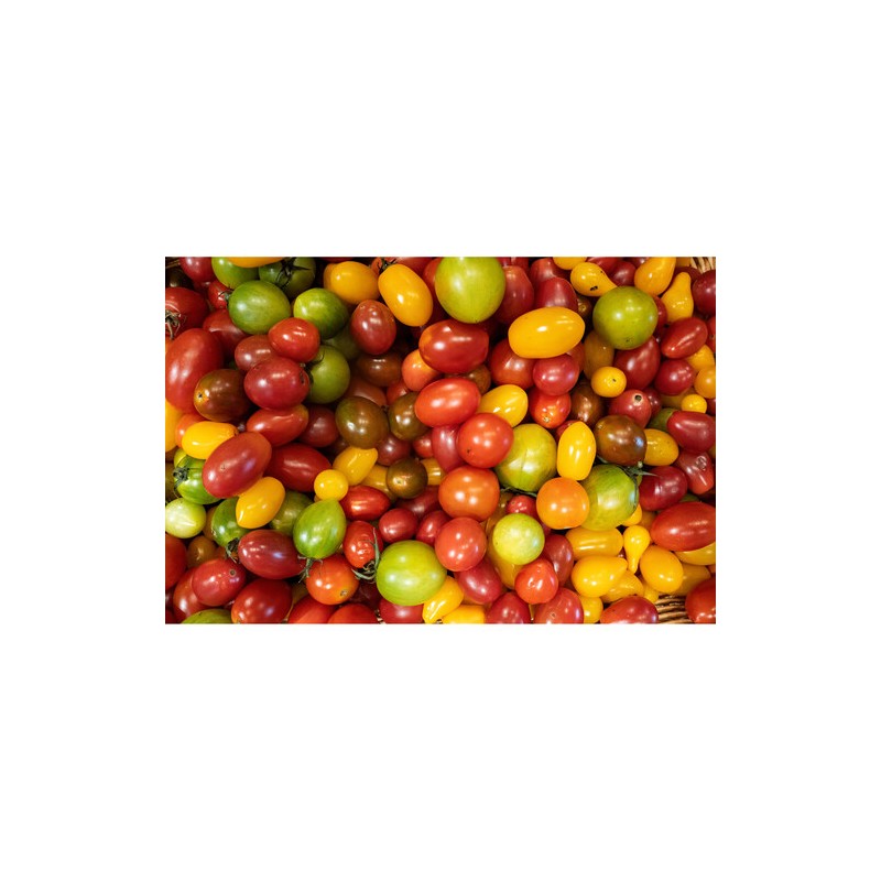 Sigma 18-50mm f/2.8 DC DN (C) for Sony E