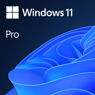 Sistem operativ Microsoft Windows 11 Pro, 64 bit, OEM DVD, çek