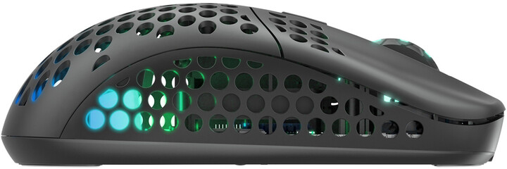 Maus Xtrfy M42 Wireless, i zi