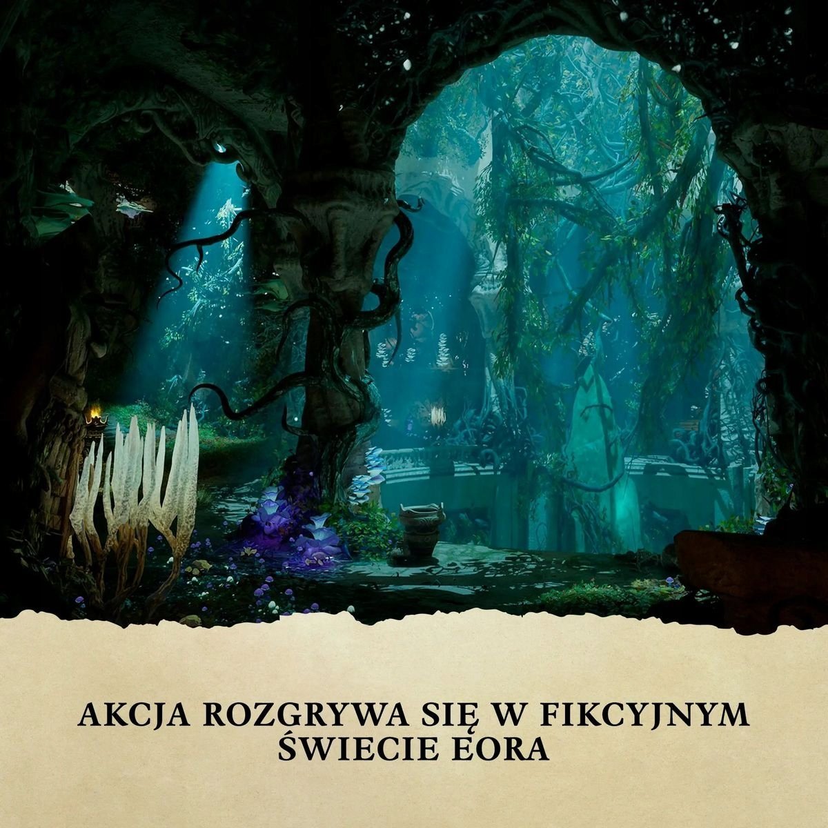 Loja Xbox Series X Avowed Premium Edition Steelbook, çelës digjital